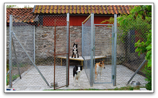 Två stensatta hundgårdar att låna, under förutsättning att din hund kan vara tyst.